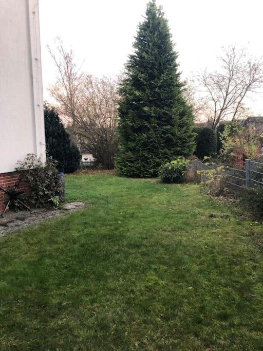 Ferienwohnung Bergbluete Braunlage Luaran gambar