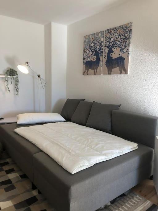 Ferienwohnung Bergbluete Braunlage Luaran gambar